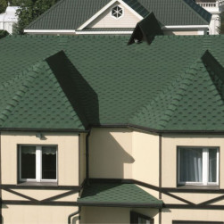 katrilli-zelen-moxovaya-1
