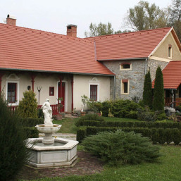 reviva-6