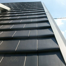 teviva-5