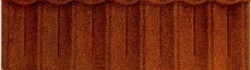 spany_bforest_m