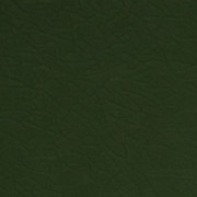 JuniperGreen