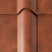 safari-brown