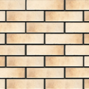 retro-brick-salt